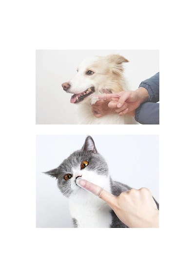 Tr Kedi Köpek Parmak Diş Fırçası Kutulu Evcil Hayvan Diş Fırçası