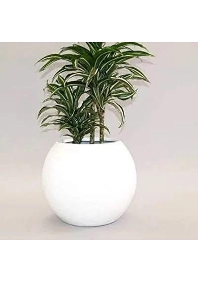 Fiber Saksı Beyaz Küre Yuvarlak Top Vazo Dekoratif Saksı Fiberglas 25 25cm