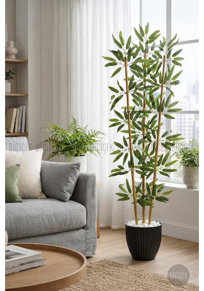 Biçiçek Bambu Ağaci 110 Cm 3 Gövdeli̇