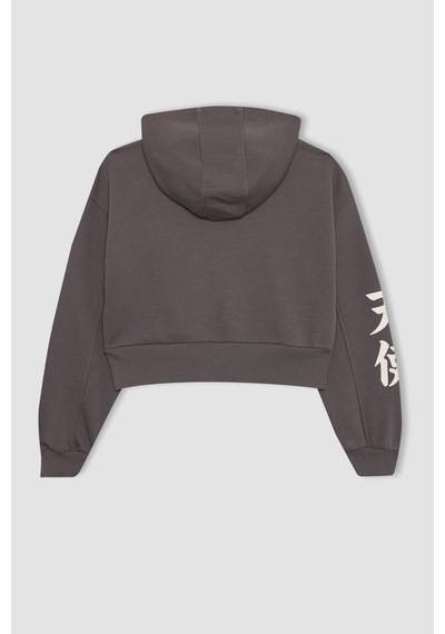 Defacto Kız Çocuk Kapüşonlu Fermuarlı Sweatshirt B9553A824SPGR311 Gri