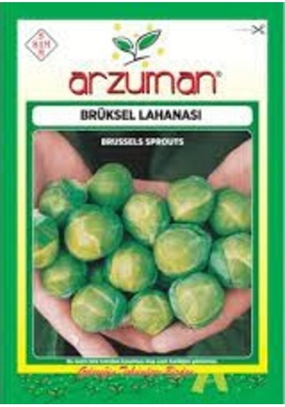 1 Paket Tohum Brüksel Bürüksel Lahana Tohumu