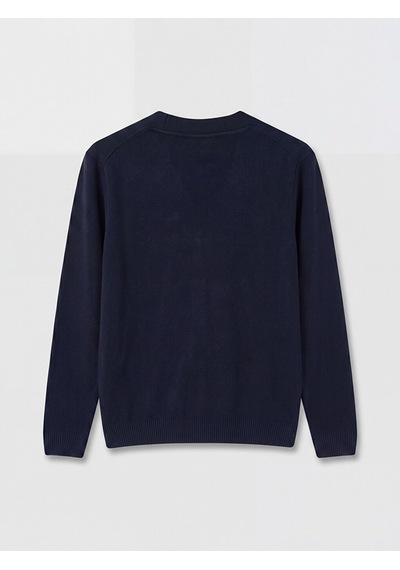 Lcwaıkıkı Classic Lacivert Regular Fit V Yaka Erkek Triko Hırka