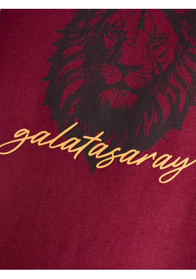 Gsstore Galatasaray Erkek T-shirt E261086 Bordo