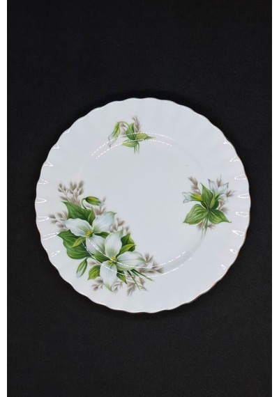 Trillium Bone China Porselen Duble Kahve Fincanı Ve Tabakları 3 Parça 120 Ml Yeşil