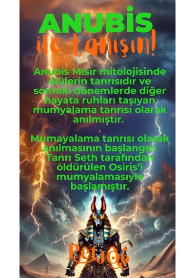 Petjoo 30.Anubis Turuncu-Yeşil Qr'lı Köpek Künyesi