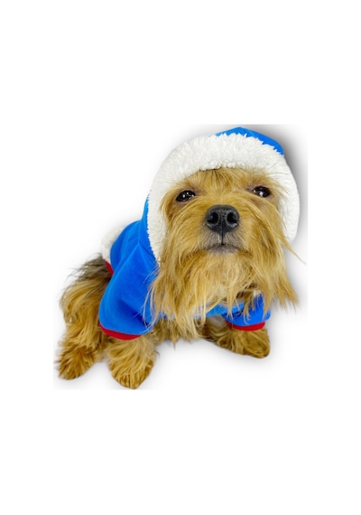 Kemique Sweet Blue Rabbit Kapşonlu Sweatshirt Köpek Kıyafeti Kemique Sweet Blue Rabbit Kapşonlu Sweatshirt Köpek Kıyafeti