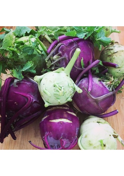 Mor Alabaş Kohlrabi Tohumu 20 Tohum