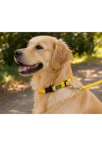 Hunter Tripoli Ayarlanabilir Reflektörlü Köpek Boyun Tasması - Xs-s Beden 20-30cm Sarı