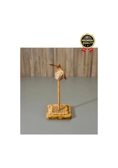 Özel Üretim Dayanıklı Eğlenceli 14x14 Cm En 26 Cm Yükseklik Sesli Oyuncaklı Kedi Tırmalama Tahtası
