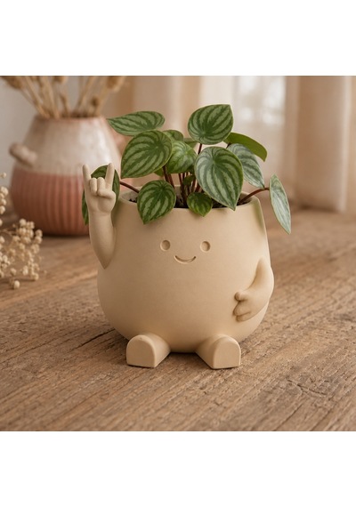 3d Baskı Smiley Face Planter - Gülümseyen Karakterli Saksı-bej Çok Renkli