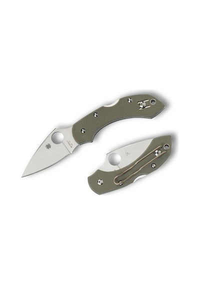 Spyderco Dragonfly Foliage Green G-10 Plainedge Kamp Çakı Yeşil