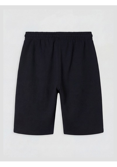 Lcwaıkıkı Classic Siyah Regular Fit Erkek Şort