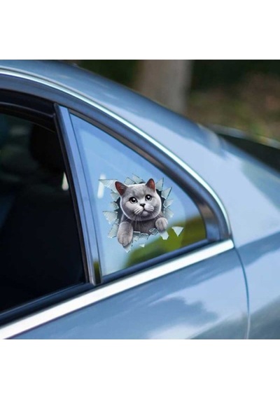 Fulcar British Araç Stickerı Cn