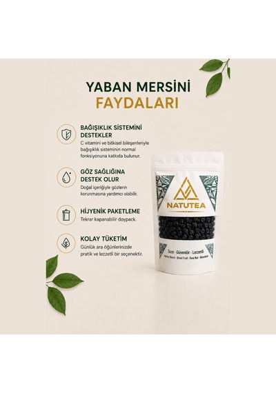 Natutea Yaban Mersini Blueberry 1 Kg Kuru Meyve