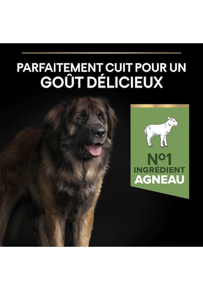 Large Robust Adult Kuzu Etli Köpek Maması 14 Kg