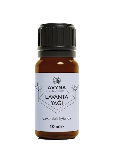 Reyo 3'lü Çamaşır Yün Kurutma Topu + %100 Saf Lavanta Esansı Hediye Krem