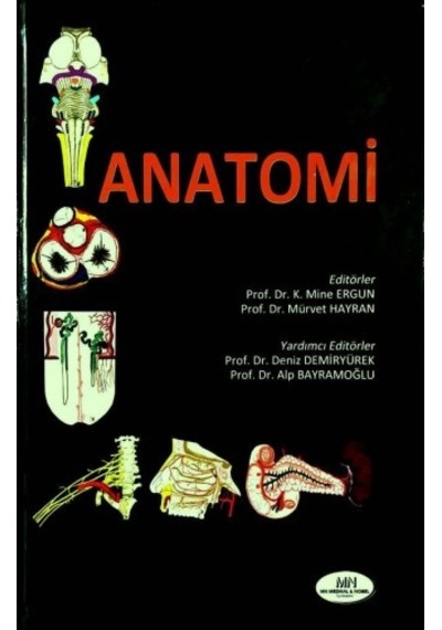 Anatomi