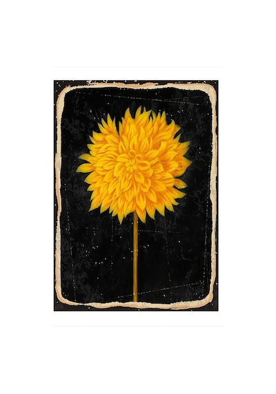 Bedeko Sarı Çiçek Siyah Fon Hediyelik Mdf Tablo 50 Cm X 70 Cm