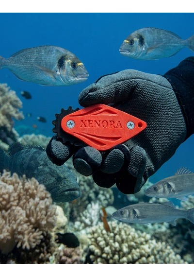 Xenora3d Taşınabilir Balık Çağırıcı Sesli Çıngırak Zıpkın Balıkçılığı Kırmızı