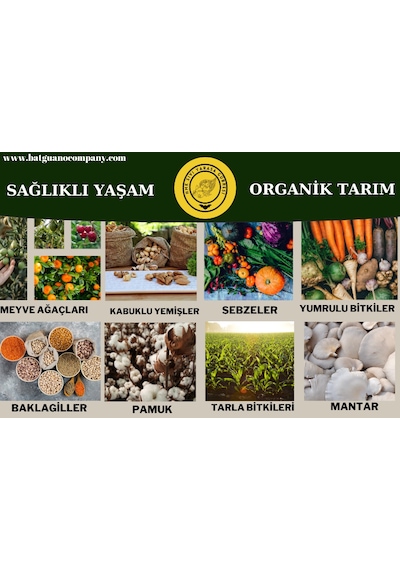 Hmk Sıvı Yarasa Gübresi 1+1 L.