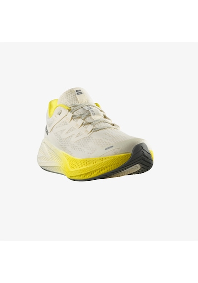 Salomon Aero Glide 3 Erkek Krem Koşu Ayakkabısı L47975900 2800400