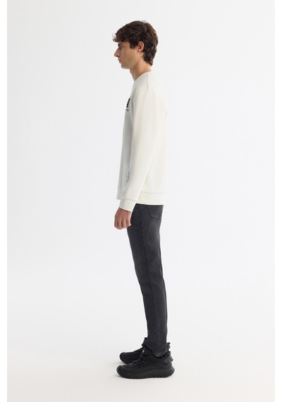 Avva Erkek Ekru Bisiklet Yaka Pamuklu Baskılı Elastan Regular Fit Sweatshirt A42y1206