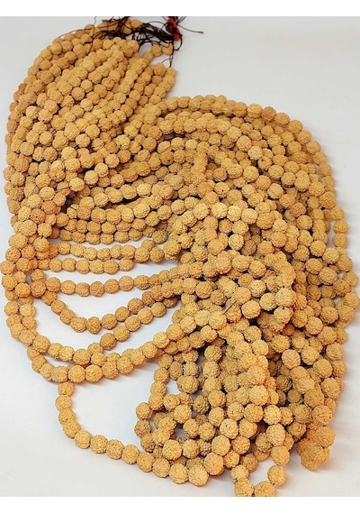 Açık Renk Süt Rudraksha Tohum Dizi 8-9mm Aralığı Mala Yapımı İçi Çok Renkli