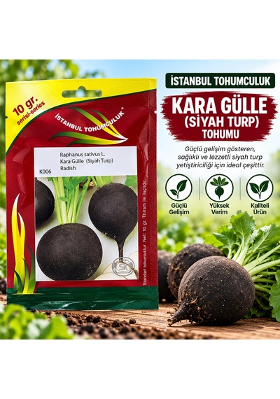 İstanbul Tohumculuk Karagülle Siyah Turp 10 Gr