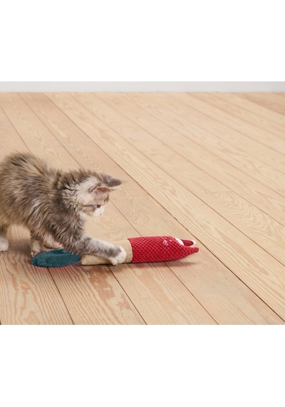 Kedi Oyun Silindiri