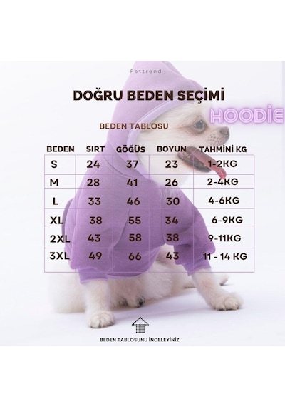 Pettrend Çağla Yeşil Kanguru Cepli Kedi Köpek Hoodie Sweatshirt