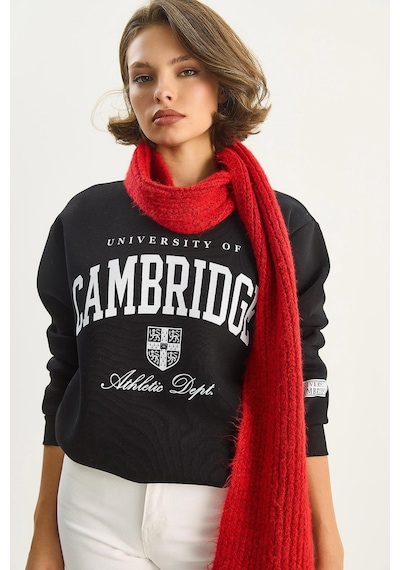 Shade Kadın Bisiklet Yaka Baskılı Üç İplik Şardonlu Basic Sweatshirt 6067 60283619 - Siyah