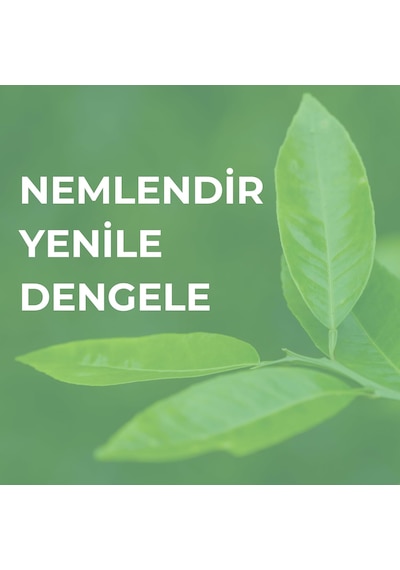 Licape-besleyici Gece Maskesi Çay Ağacı Özlü 50ml Sku: Smg8690010492708