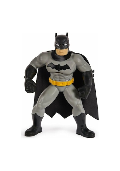 Batman Yüzme Arkadaşları - 6067008
