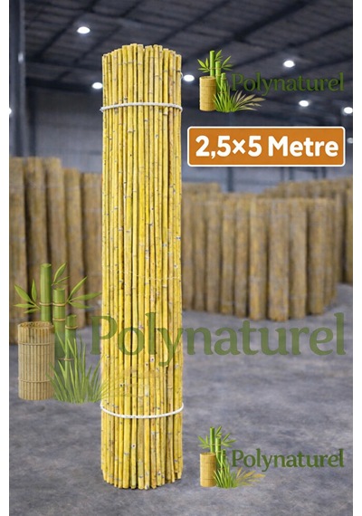 Doğal Kamış Bambu Çit 2.5 X5m Bahçe Teras Balkon Gizlilik Perdesi Gölgelik Örtü Açık Bej