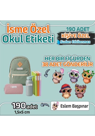 Kapbirhediye Okul Etiketi Isme Özel Kalem Defter Etiketi Baykuş 2 Temalı 190 Adet Çok Renkli