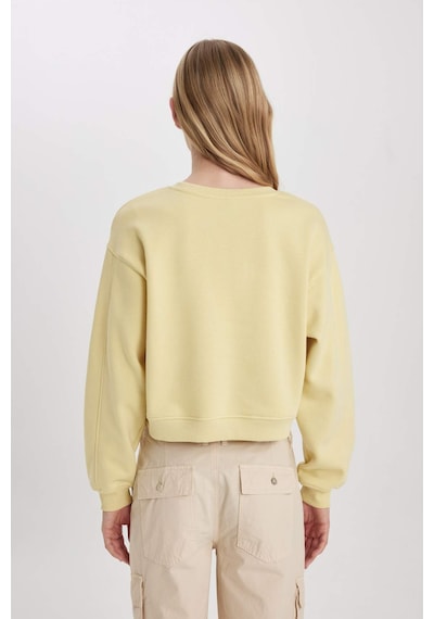 DeFacto Boxy Fit Bisiklet Yaka Baskılı Kalın Sweatshirt C5385AX23CWGN657