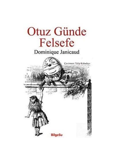 Otuz Günde Felsefe / Dominique Janicaud 9789944795739