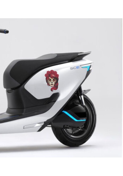 Kızıl Saçlı Dövmeli Kız Sticker Araba Oto Motosiklet Karavan Etiket 00003 30x20 Cm