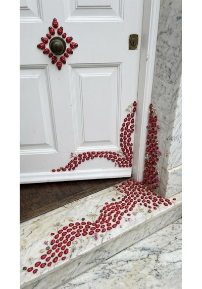 Mucit Home 50 Adet Uğur Böceği Mini Kapı Süsü Aile İsmine Özel Sayıda -çok Amaçlı Kullanım Kırmızı