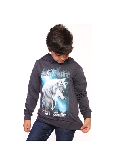 Toontoy Erkek Çocuk Baskılı Sweatshirt Füme