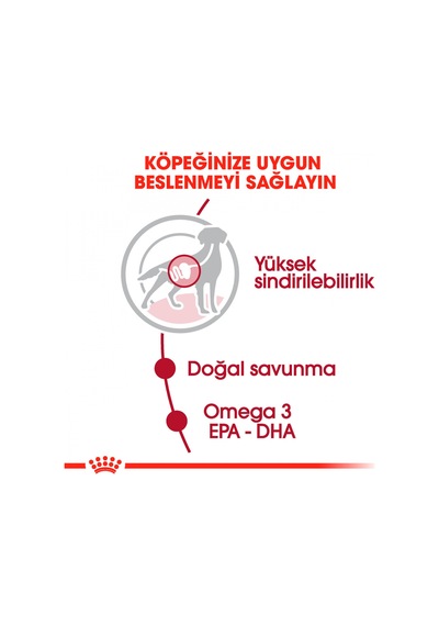 Royal Canin Medium Adult Orta Irk Yetişkin Köpek Yaş Maması 10 x 140 G