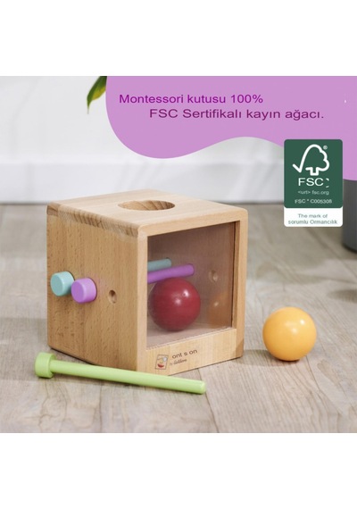 Eichhorn Montessori Ahşap Top Atma Kutusu