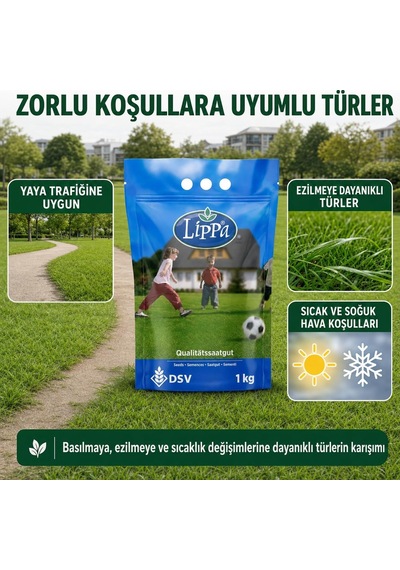 Lippa Pro Special 4s Çim Tohumu, 4 Bileşenli Özel Karışım, 1 Kg