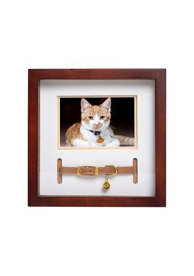 Köpek Kemikli Çerçeve 10x10 Cm Siyah 12053693