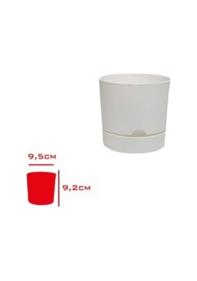 Polıwork Saksı Begonya 9 Cm Beyaz