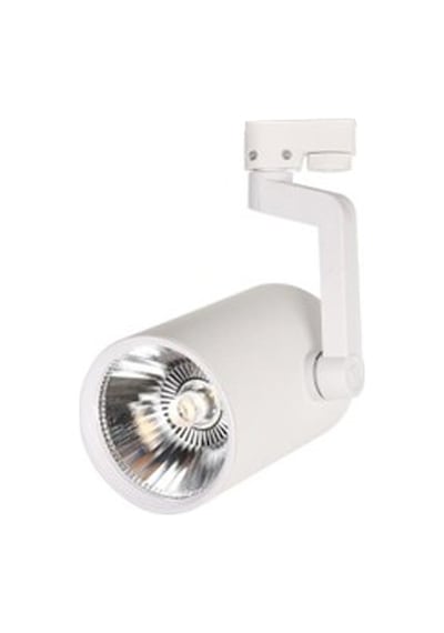 Cata 30W Ray Spot Beyaz Kasa 3200K Günışığı Işık Capella CT-5333