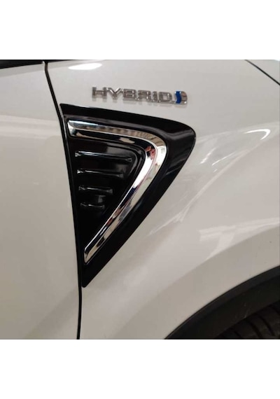 Autogp Toyota C-hr 2016-2019 Çamurluk Izgarası