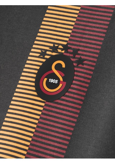 Gsstore Galatasaray Erkek T-shirt E261078 Antrasit