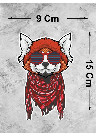 Gözlüklü Kedi Sticker - Araba Oto Motosiklet Karavan Cam Araç Sticker - 00296 15x9 Cm