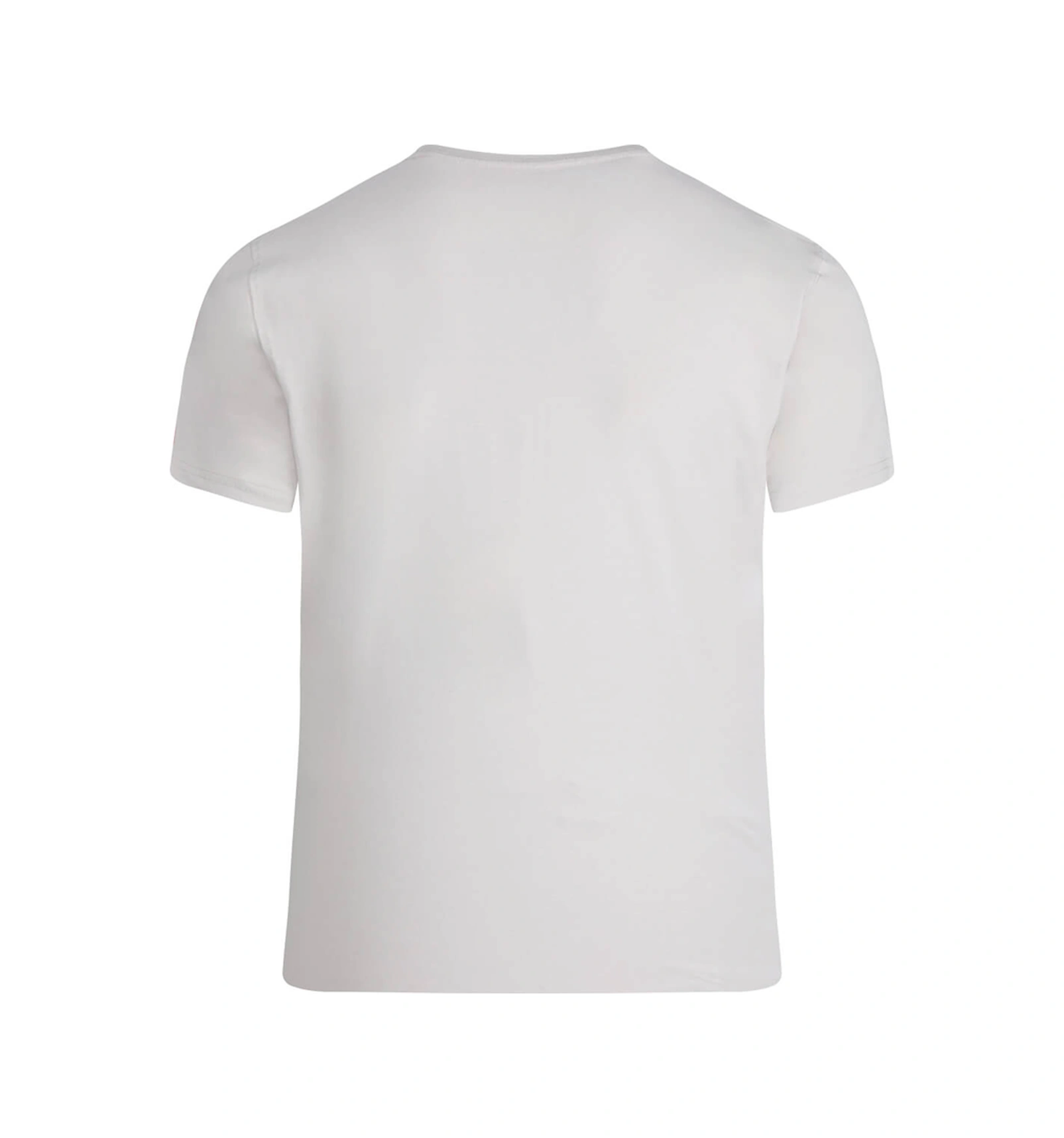 Hatemoğlu Taş Regular Fit Bisiklet Yaka Pamuklu Tişört 6550777